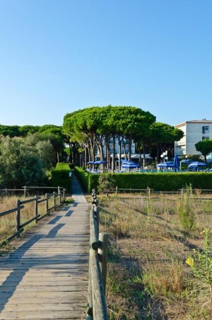 Hotel King Lido di Jesolo Dış mekan fotoğraf